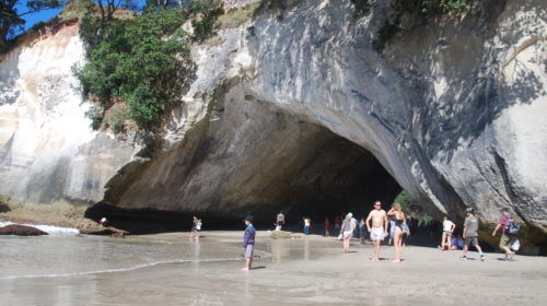 cathedral cove new zealand