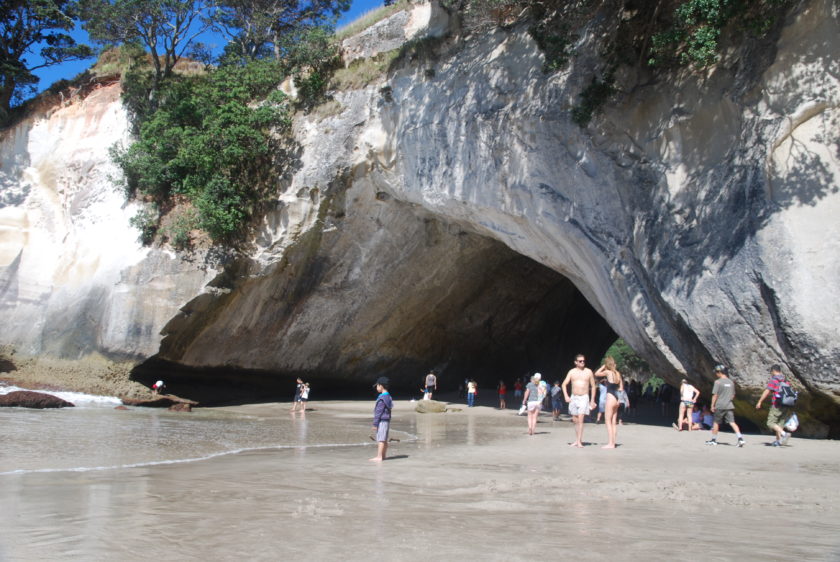 cathedral cove new zealand